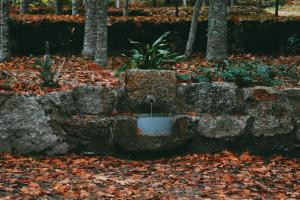 Quinta das Fontes - Alojamento Rústico Local e Turismo Rural