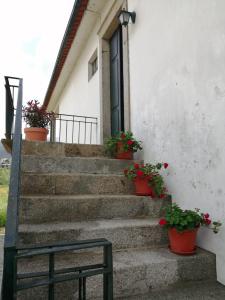 Quinta do Arieiro