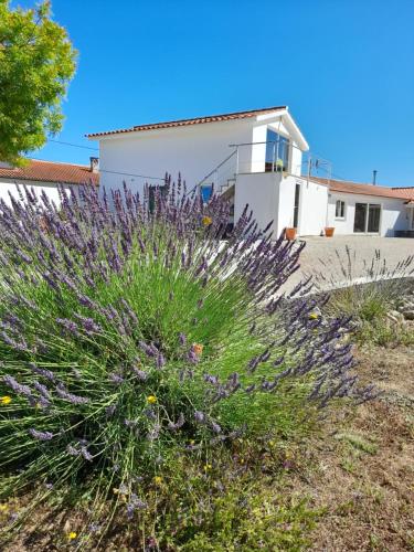 Quinta Do Aviario