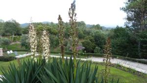 Quinta do Correia