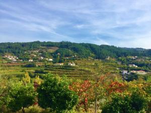 Maison de vacances Quinta do Pêso Rua do Peso de Cima 4600-620 Amarante Région Nord