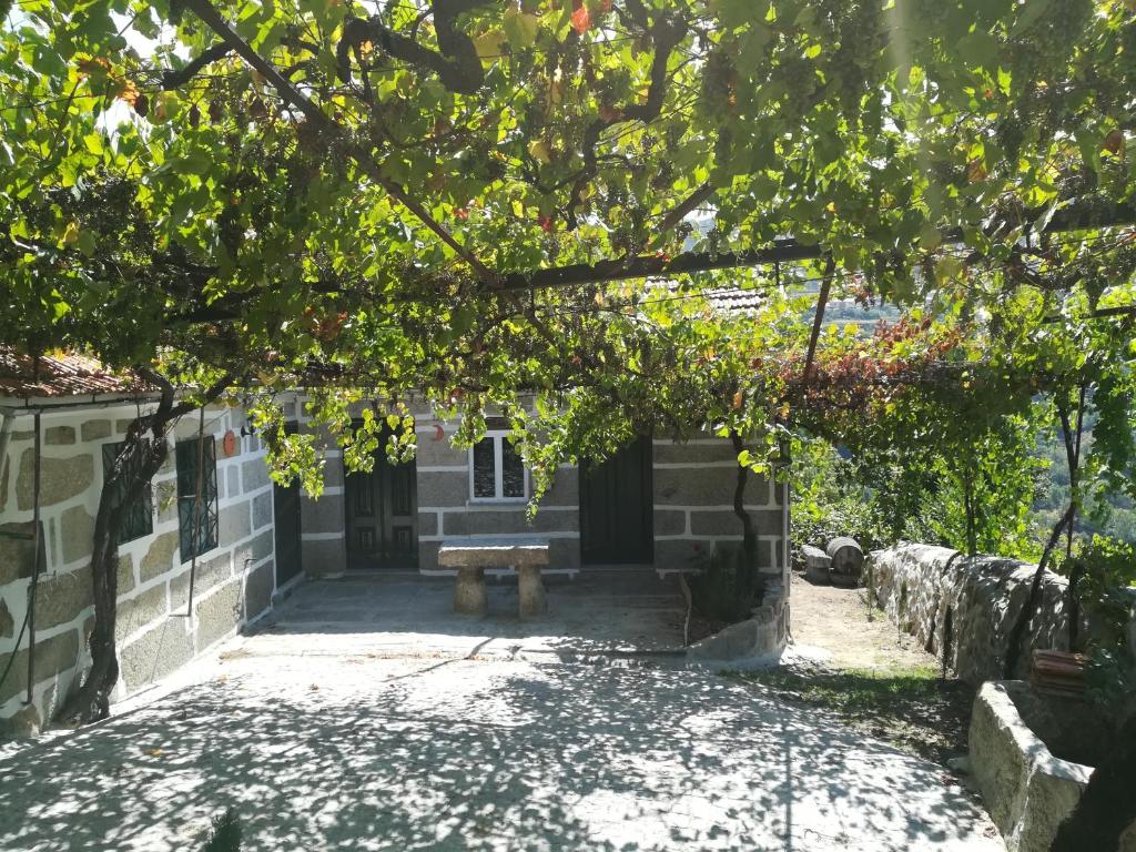 Quinta do Sol - Soutelo CM1027, Soutelo, Viseu, 4690-765 Chã