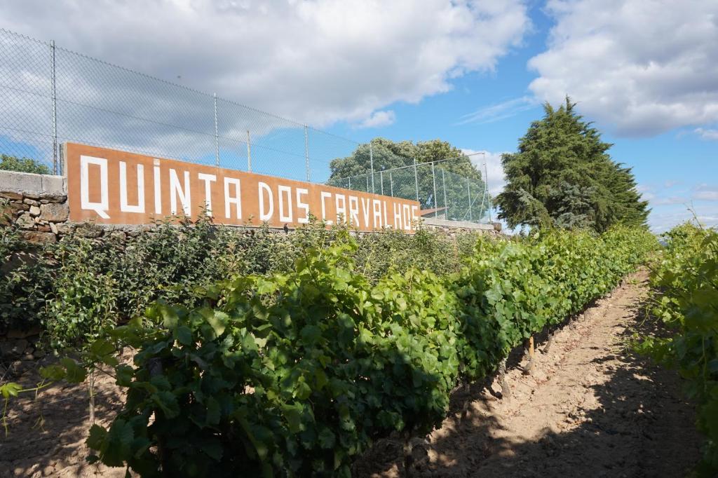 Quinta Dos Carvalhos Estrada Nacional 206 Avenida Nossa senhora de fatima, 5340-500 Vilarinho de Agrochão