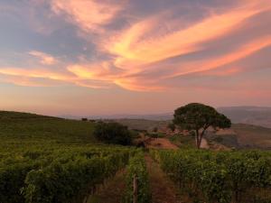 Quinta dos Espinheiros