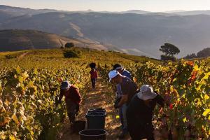 Quinta dos Espinheiros