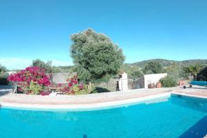Quinta Ninette - Murta (Estoi)