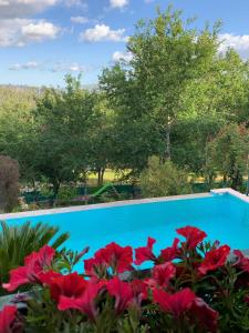Quinta Paraíso do Ermal