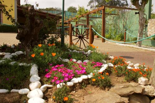 Quinta Sobral Prestige - Rustic House