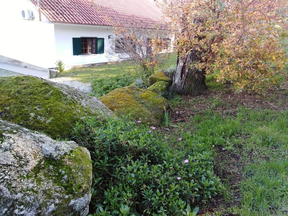 Quinta Souto da Ordem - House Quinta Souto da Ordem Quinta Souto da Ordem, 6230-160 Castelo Novo