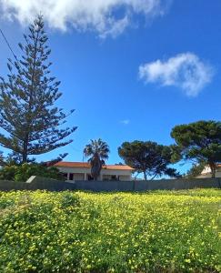 Maison de vacances Quintinha das Lombas Lombas Quintinha das Lombas 9400-065 Porto Santo Madère