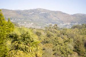 Quintinha de Sabadim moradia T5 a 500m da ecovia de Sistelo