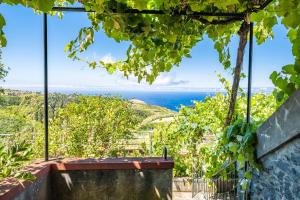 Rainbow Cottage by Madeira Sun Travel