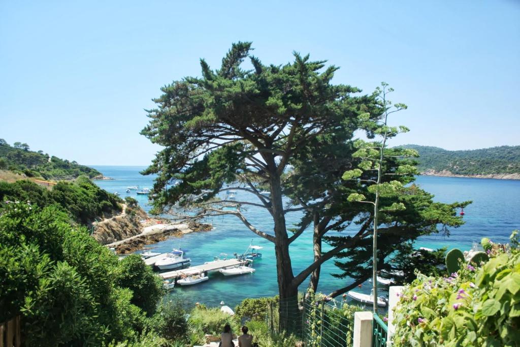 Maison de vacances RC d'un Cabanon écologique ile du levant Naturiste Corniche Pin Pignon Ile du Levant 83400 Île du Levant