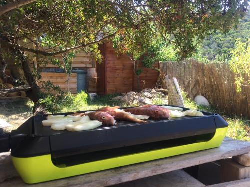 RC d'un Cabanon écologique ile du levant Naturiste