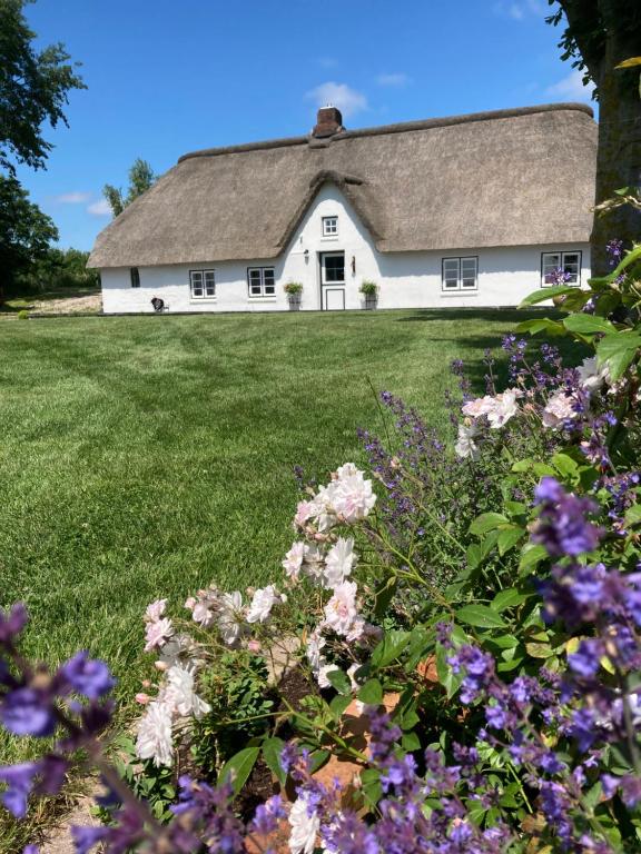 Reetdachhaus, Sauna, E-Bikes, 6 Personen 5 Westerheverstraße, 25836 Osterhever