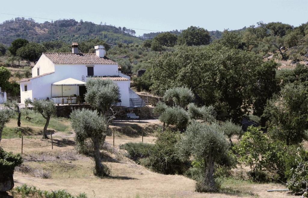 Maison de vacances Refugio da Maceira Sitio da Maceira 7330-151 Marvão