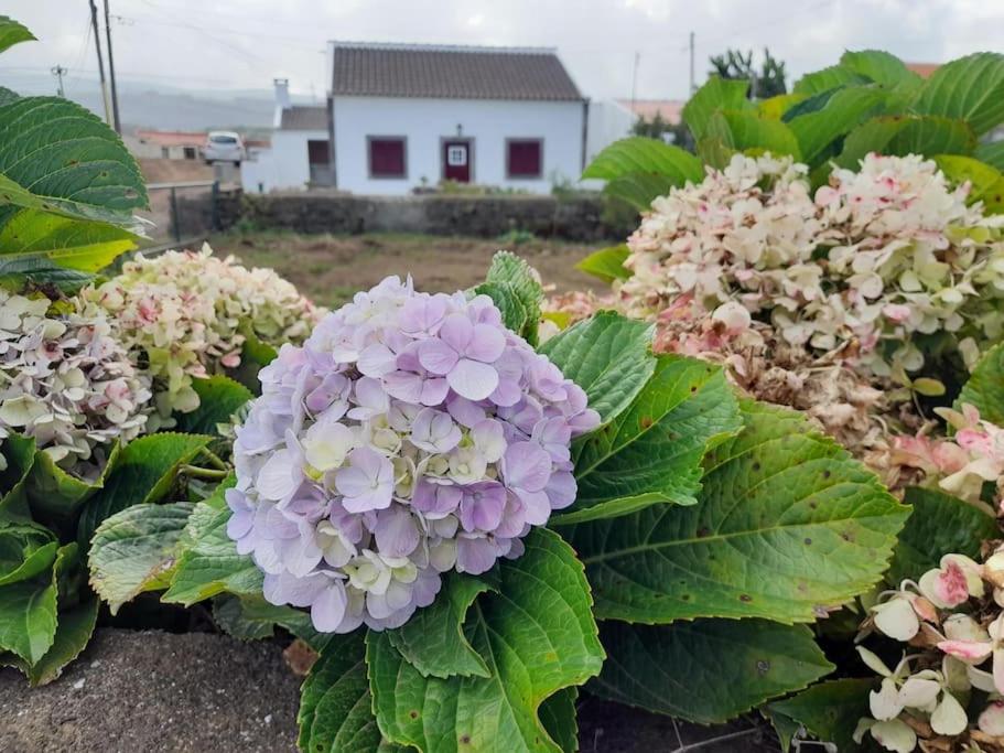 Refúgio das Pedreiras Rua das Pedreiras no2 Vila das Lajes, 9760-525 Santa Rita