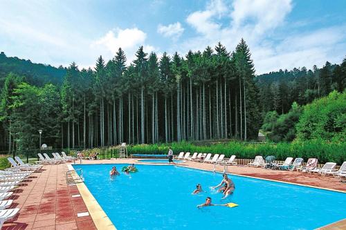 Res Les Fontaines des Vosges, Saales, 3 room apt