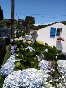 Ribeira da Praia House