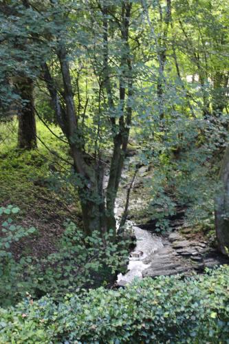 Rivendell 9