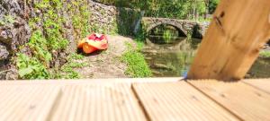 River House - Casas do Rio Tora