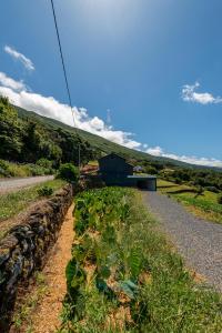 Maison de vacances Rosa Chá Lugar do Ramal 9940-171 Santo Amaro Açores