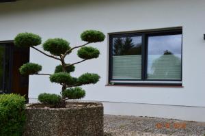 Sailhouse Edersee