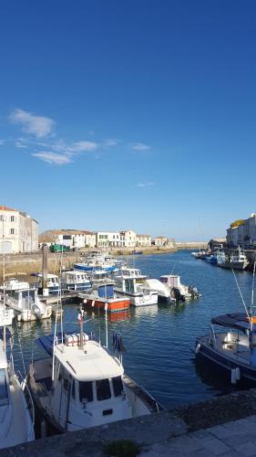 Saint Martin