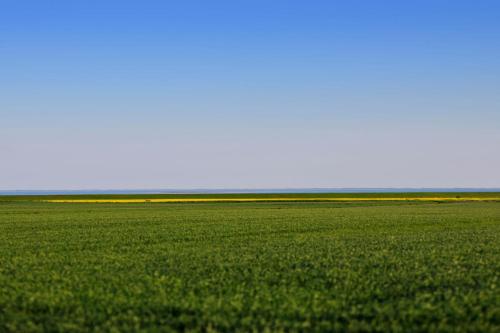 SalzWasserHerz Senhoog Luxury Holiday Homes *****
