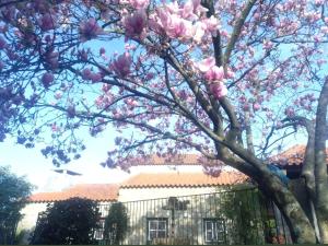 São Braz Terrace