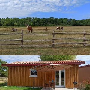 Maison de vacances sasu eco nature 366 Gorgelian 33930 Vendays-Montalivet Aquitaine