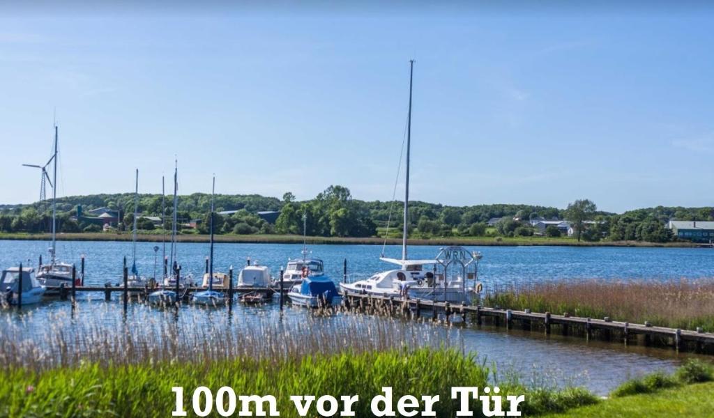 Maison de vacances Schleibungalow Nr15 zw Ostsee und Schlei Rückeberg Nord 15 24376 Kappeln