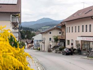 Maison de vacances Schlosserhaus Lam Arberstraße 44 93462 Lam Bavière