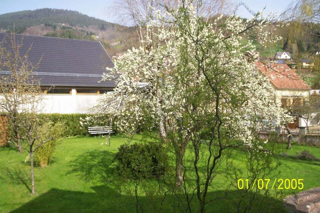 Schöner Massivbau-Bungalow an der Ostsee mit viel Naturholz eingerichtet 23946 Tarnewitz
