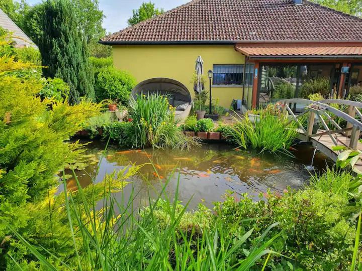 Schönes 4 Zimmer Haus mit Japanischem Garten 13 Rue de la Gare, 68640 Muespach-le-Haut