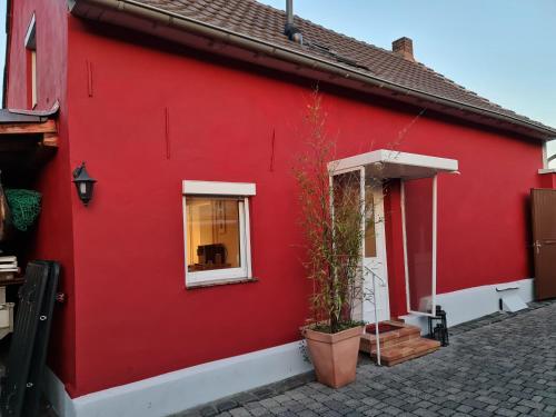 Schönste Lage am Rhein, behagliches Haus mit Kamin.