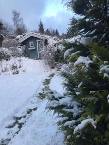 Schönwald Waldchalet am Musenberg
