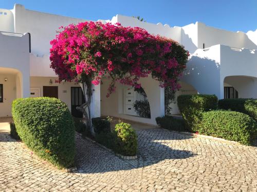 Sea & Golf Vila Gaivota
