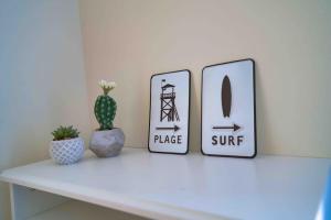 Sea, Surf and Sun