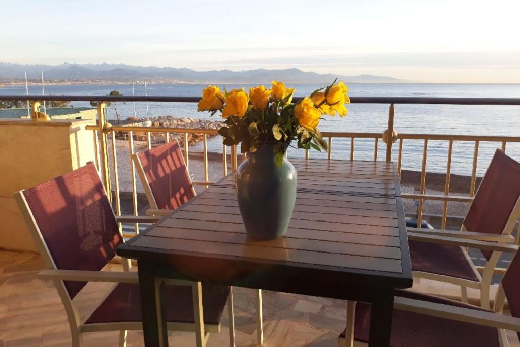 Seafront one bedroom apartment with a terrasse swimming pool and a parking 30 Boulevard James Wyllie Résidence Tamanaco bâtiment B2, 06600 Antibes