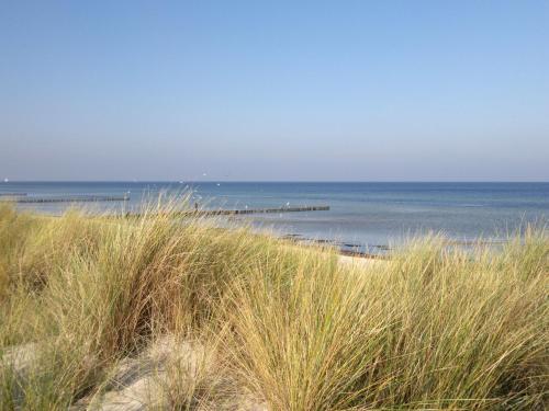 Seaside Bungalow with Terrace, Garden, Barbecue, Parking