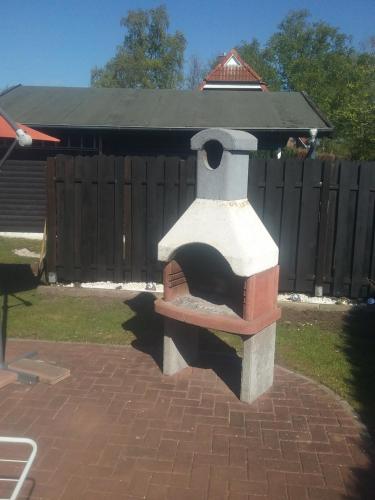 Seemöwe