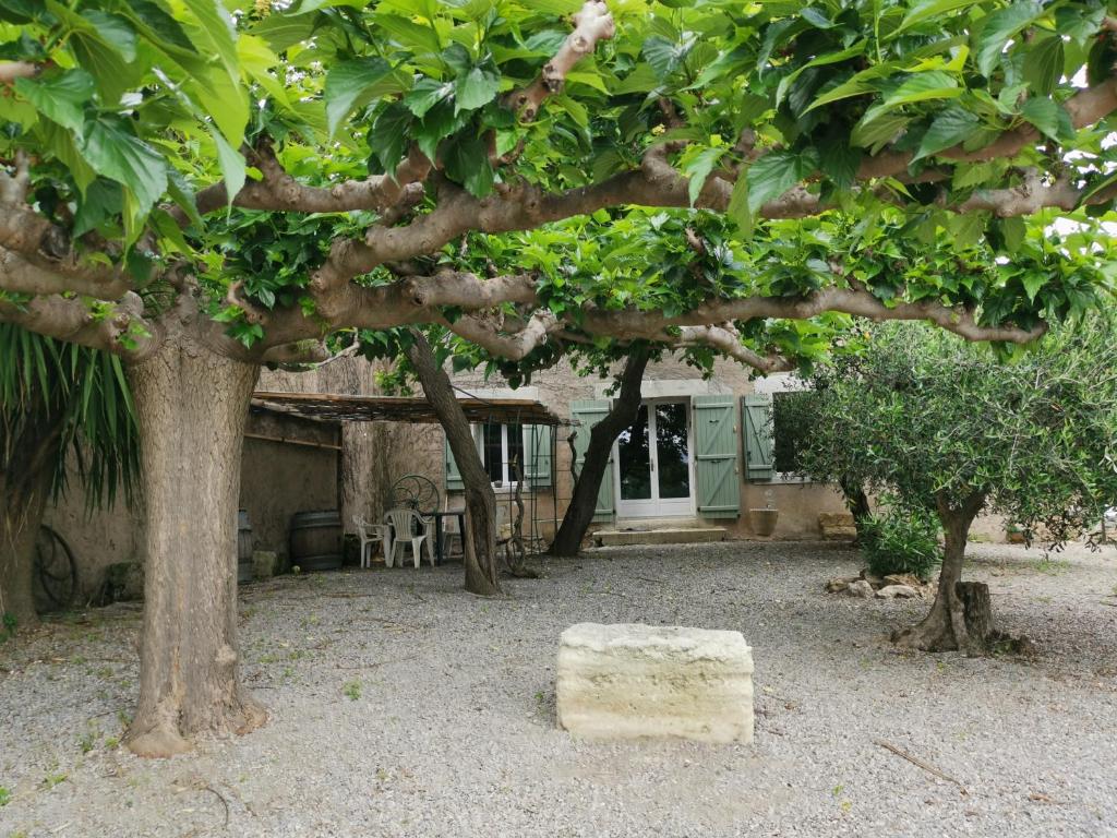 Maison de vacances Séjour au calme au milieu des vignes 6 Avenue Louis Frédéric Rouquette 34140 Loupian