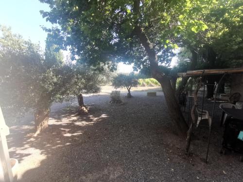 Séjour au calme au milieu des vignes