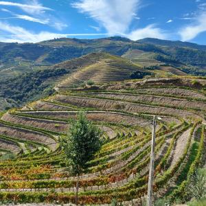 Soalheira Douro House