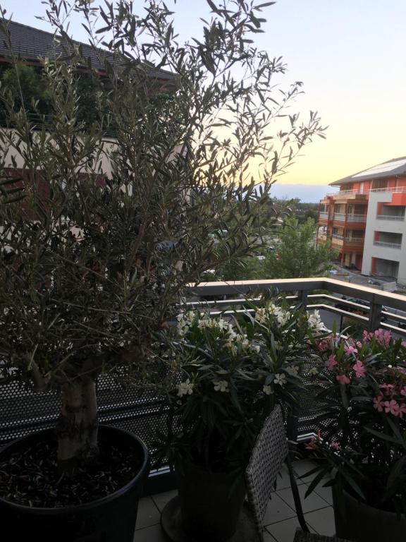 Sommerhaus Bella Vita