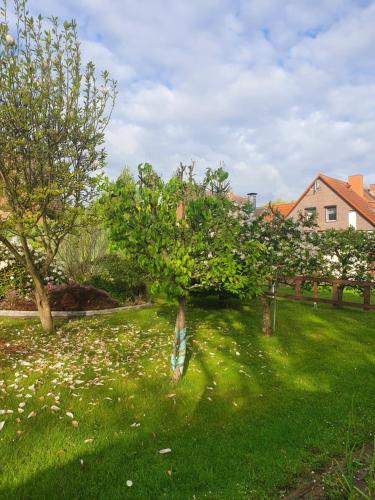 Sonnenhaus