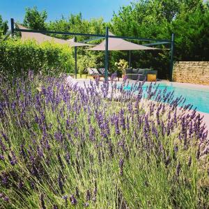 Maison de vacances sous la tonnelle QUARTIER LA CAPOUNE 84220 Gordes Provence-Alpes-Côte d\'Azur