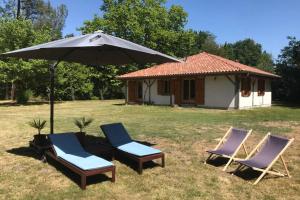 Spa et détente au cœur de la forêt des Landes