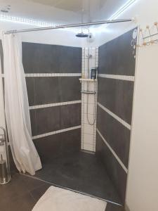 spacieuse maison de ville avec espace détente